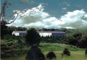 Reckson Sports Amenity Environmental Analysis